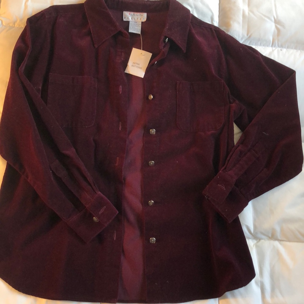 Talbots brand new/never worn velvety blouse.